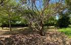 2 ac Land in Nyali Area - 11