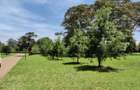 1 ac Land in Karen - 1