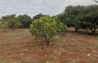 15 ac Land at Thika Road - 12