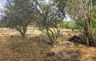 Land at Next To Tilisi Estate - 7