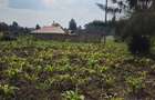 Land at Limuru Road - 11