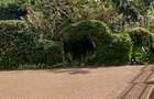 4 Bed House in Gigiri - 9