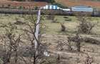 505 m² Residential Land at Mutongoni Road - 9