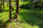 1.0 ac Land at Kandara Road - 7