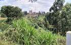 0.741 ac Land in Ruaka - 3