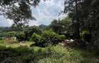 0.75 ac Residential Land at Convent Dr - 5