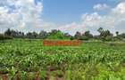 0.4 ha Land at Tilisi - 10