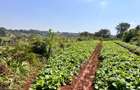 Land in Redhill - 11