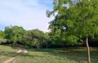 90 ac Residential Land at Kuruwitu-Vipingo - 4