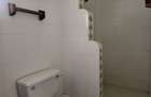 4 Bed Townhouse with En Suite in Spring Valley - 18