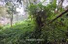 4.3 ac Land at Old Muthaiga - 7