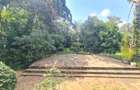 6 Bed House with En Suite at Nyari - 2