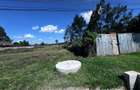 0.5 ac Land in Runda - 7