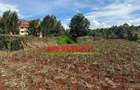 0.4 ha Land at Thogoto - 4