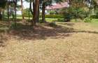 Residential Land at Karen The Hip Road - 4