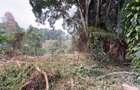 1 ac Land in Kitisuru - 5
