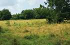 Land at Kilifi Town - 5