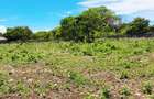 Land at Diani Beach - 11
