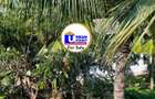 4 Bed House with En Suite in Watamu - 5