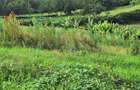 1 ac Residential Land at Tigoni - 6