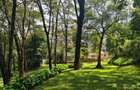 4 Bed House with En Suite in Kitisuru - 1