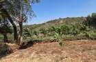 Land in Ngong - 1