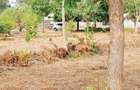 8 Bed House with En Suite at Kikambala - 6