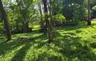 20 ac Land at Mtwapa - 12