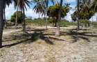5 ac Land at Kikambala Beach - 5