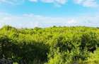 Land at Watamu - 17