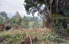 1 ac Land in Kitisuru - 8