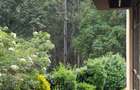 5 Bed House with En Suite at Lone Tree 55 - 20