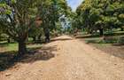 505.86 m² Land in Kikambala - 10