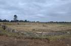 0.25 ac Land at Kenyatta Road - 5