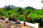 4 Bed House with En Suite at Kuruwitu Beach - 7