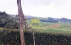 Land in Tigoni - 1