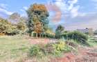 1.25 ac Land at White House Wangige - 8