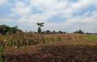 Land in Karen - 2