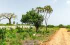 Land at Diani Beach Road - 10