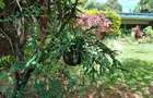 3 Bed Townhouse with En Suite at Lavington - 9