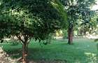 1 Bed House in Runda - 4