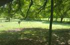 866,058 m² Commercial Land at Vipingo Beach - 13