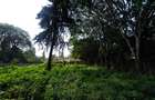 Commercial Land at Redhill Road - 1