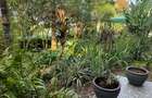 1 Bed House with Garden at Peponi Road - 3