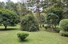 3 Bed House with En Suite in Karen - 4