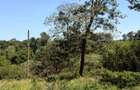 500 m² Residential Land at Ruiru-Githunguri Road - 13