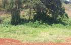 0.5 ac Residential Land at Muthithi - 11
