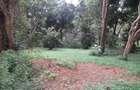 4 ac Land at Mushroom Gardens - 8