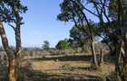 100 ac Land at Lolldaiga Valley - 2