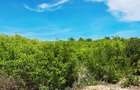 Land at Watamu - 1